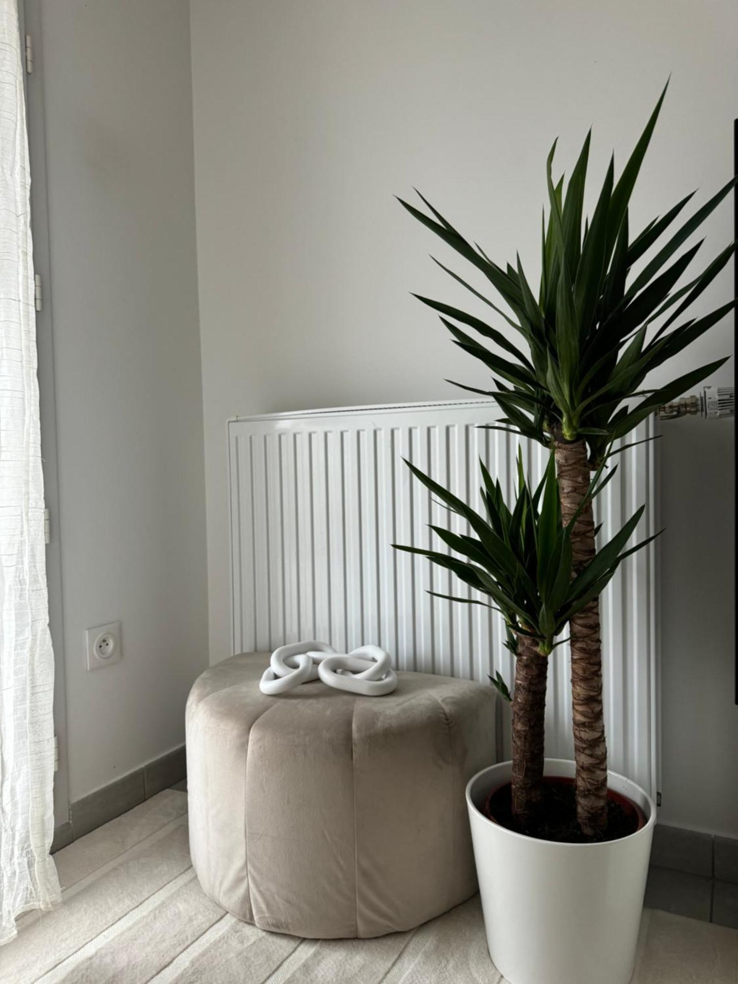 Superbe Appartement - Near Paris คอร์เบล-เอซองส์ ภายนอก รูปภาพ